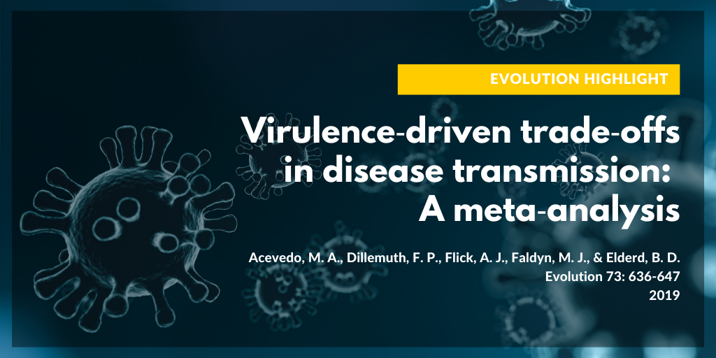 The words Evolution Highlight and the paper title and author list in white text on a blue background showing digital renderings of viruses